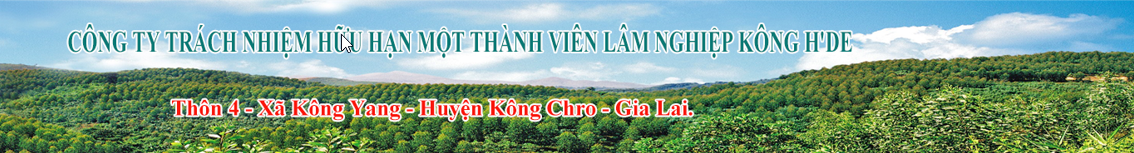CÔNG TY TRÁCH NHIỆM HỮU HẠN MỘT THÀNH VIÊN LÂM NGHIỆP KÔNG H'DE